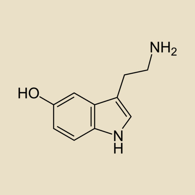 Serotonin by yassinebd