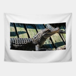 Alligator 2 Tapestry