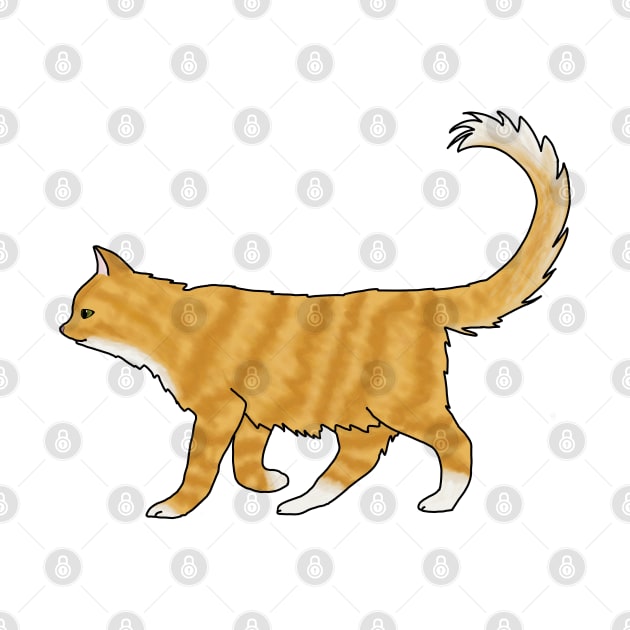 Fluffy orange cat by Becky-Marie