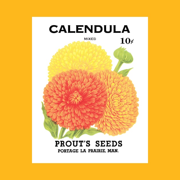 Vintage Calendula Prout's Seed Packet by MasterpieceCafe