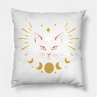 Galactic Kitty Pillow