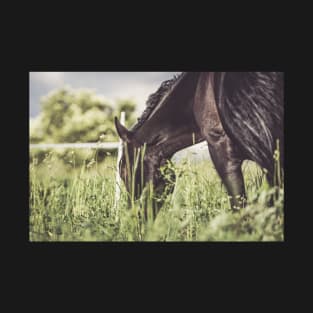 Romantic mood on the horse pasture T-Shirt