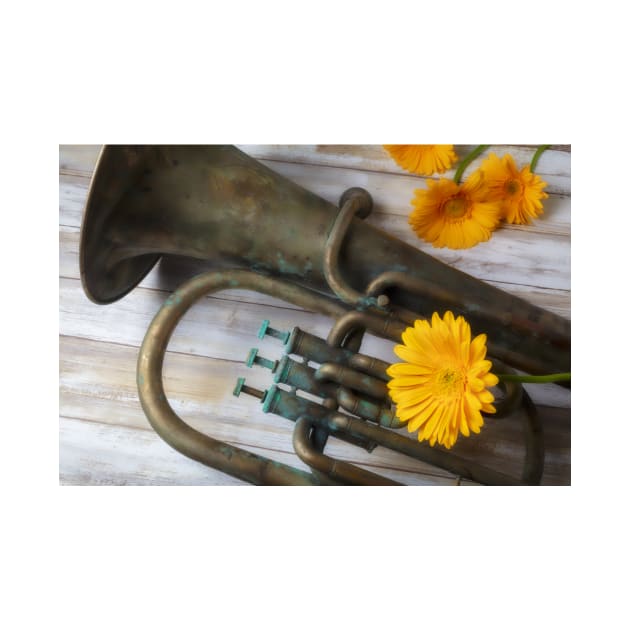 Old Weathered Tuba And Yellow Daisy by photogarry