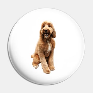 Goldendoodle Golden Doodle Cute Puppy Dog Pin