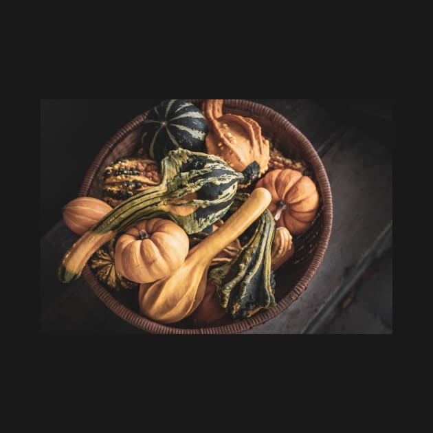Rustic Basket Harvest Squash and Gourds by Amy-K-Mitchell