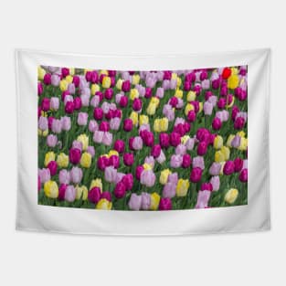 Solely Tulips, Meersburg - Lake Constance Tapestry