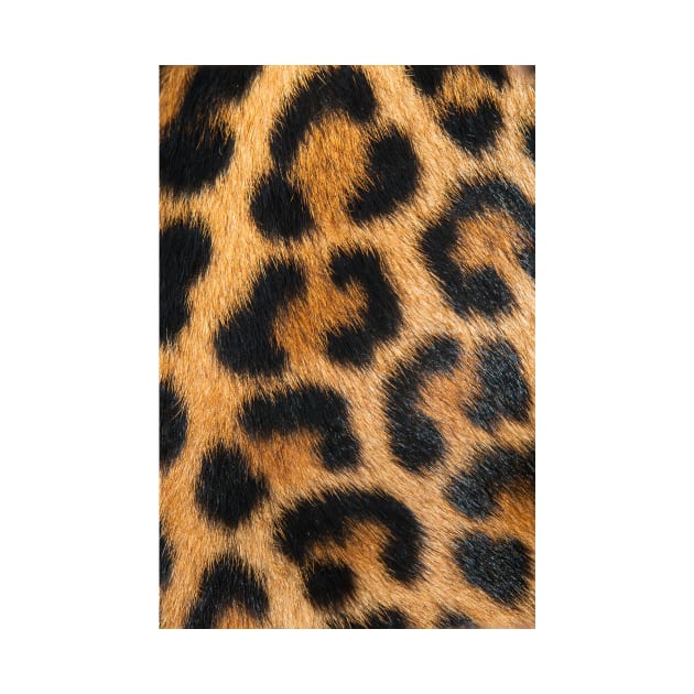 Big Leopard Print by NewburyBoutique