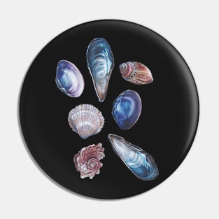 Iridescent Shells Illustration Pin