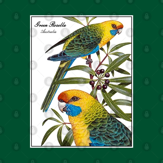 AUSTRALIA : Green Rosella Travel Advertising Print by posterbobs