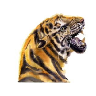 Tiger  portrait T-Shirt