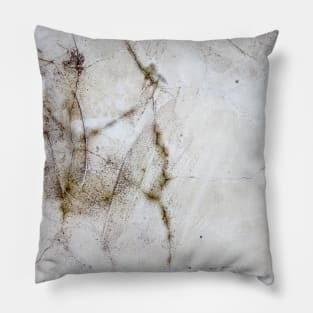 Weeds on a cracked Pillow