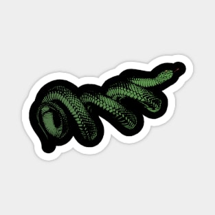 Coiled Snake Magnet