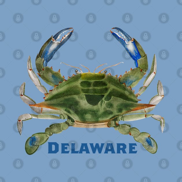 Delaware Crab by novabee