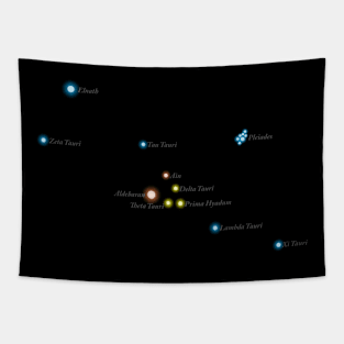 Constellation Taurus Tapestry