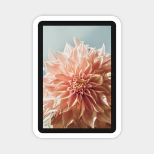 Always the Optimist x botanical pink dahlia flower photograph Magnet