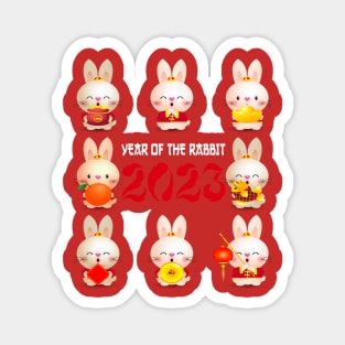 Bunny Rabbit Chinese New Year 2023 Chinese Zodiac Horosope Magnet