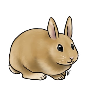 Small Mammal - Rabbit - Orange Netherland Dwarf T-Shirt