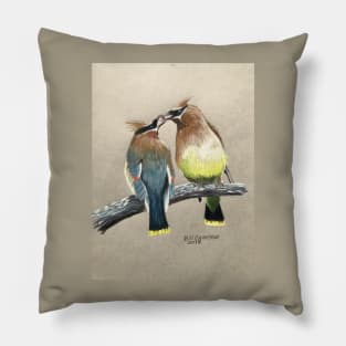 Cedar Waxwings Pillow