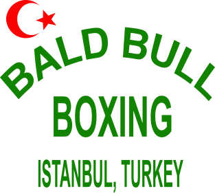 Punch-Out!!!: Bald Bull Boxing Magnet