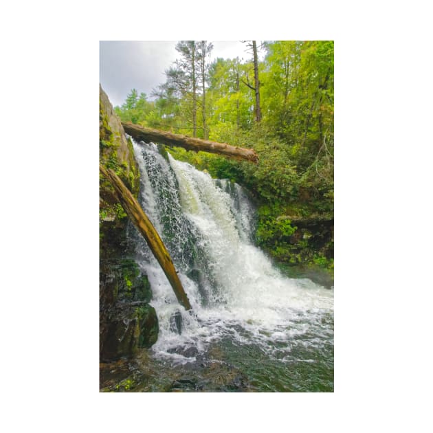 Abrams Falls, Great Smoky Mountains by BrianPShaw