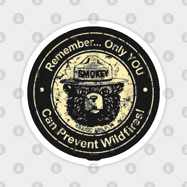 Smokey Bear Only You Can Prevent Wildfires Gift Costumes