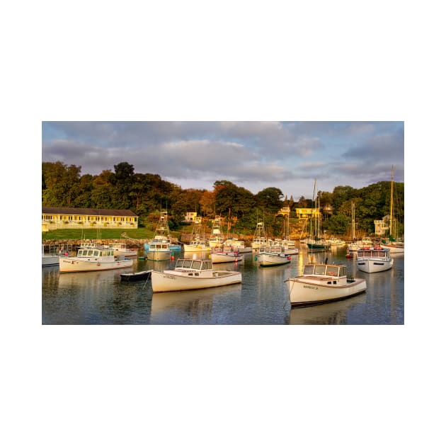 Morning Light on the Perkins Cove Fleet by jforno