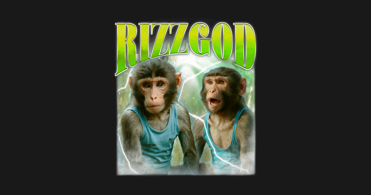 funny monkey rizz god - Rizz God - T-Shirt | TeePublic