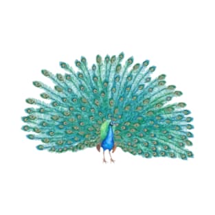 Peacock Digital Painting T-Shirt
