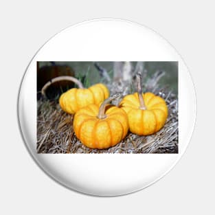 Three Mini Pumpkins Pin