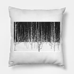 Winter Birch Forest Pillow