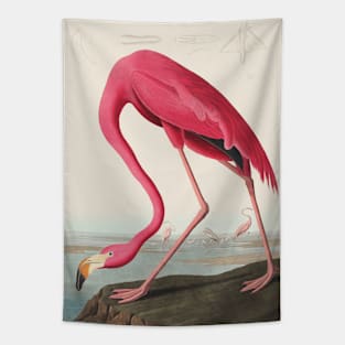 American Flamingo (1838) by John James Audubon Tapestry