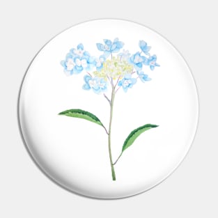 blue hydrangea watercolor Pin