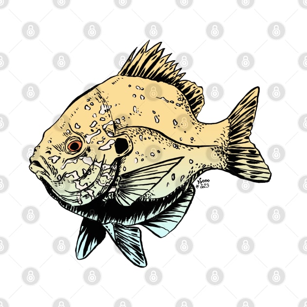 Lightly Colored Sunfish by Nora Back Art and Design