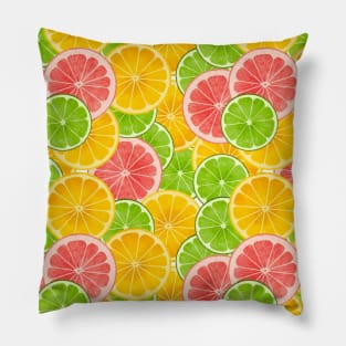 Citrus slices Pillow