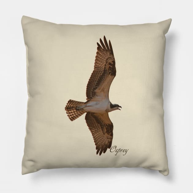 Osprey in Flight Pillow by Whisperingpeaks