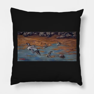 Flock at Heceta Pillow