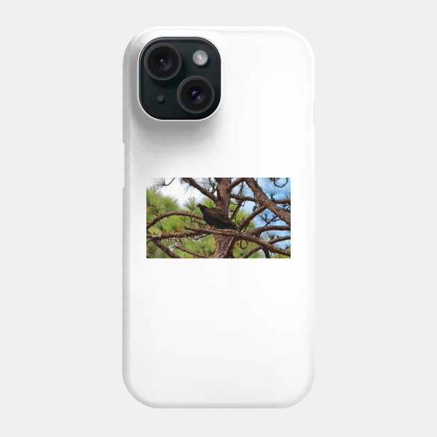 Turkey Vulture Phone Case by Cynthia48