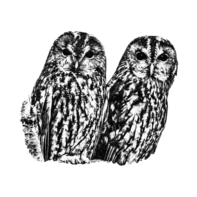 Tawny owls by Guardi