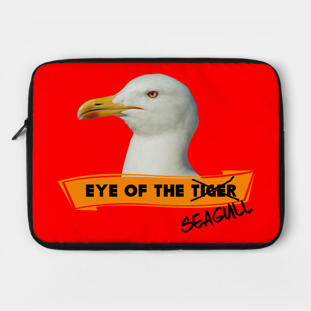 Eye of the Seagull