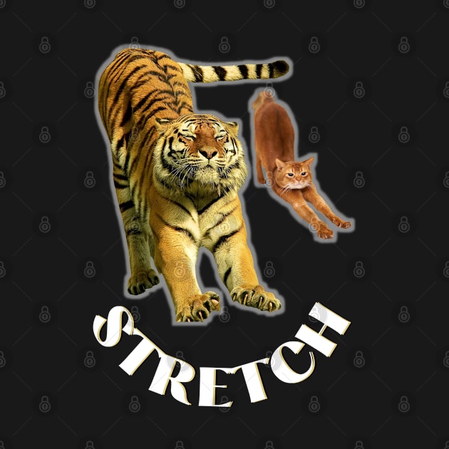 Stretch exercise by a tiger and a cat - white text by Blue Butterfly Designs 