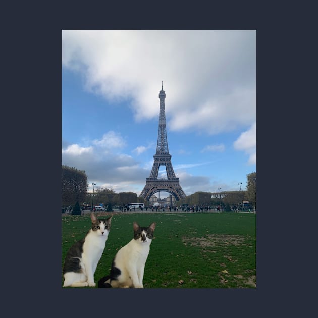 Kittans in Paris by LeeanneC