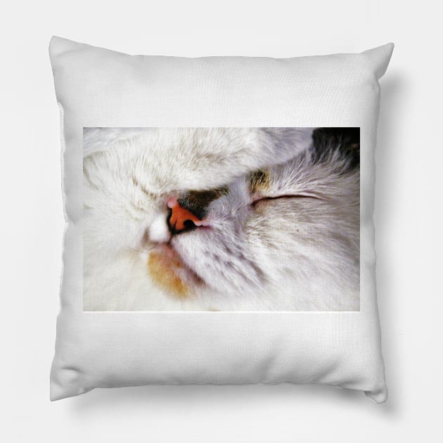 Fur Ball Pillow by Ladymoose