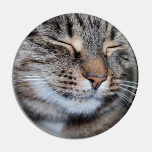 smiling cat Pin