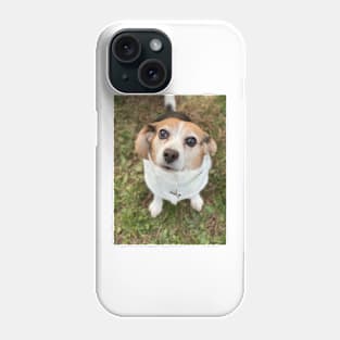 The Curious Beagle Phone Case