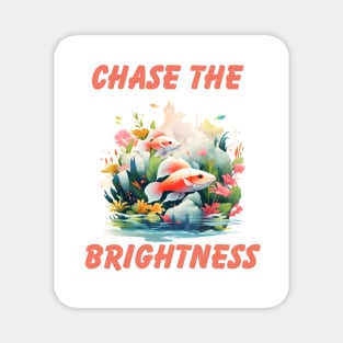 Chase the Brightness Magnet