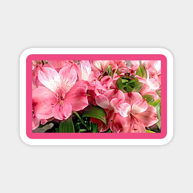 Pink Flowers Magnet by PandLCreations