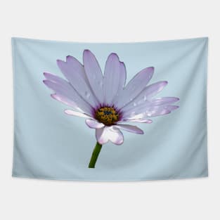 African Daisy Tapestry