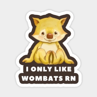 I Only Like Wombats Right Now Magnet