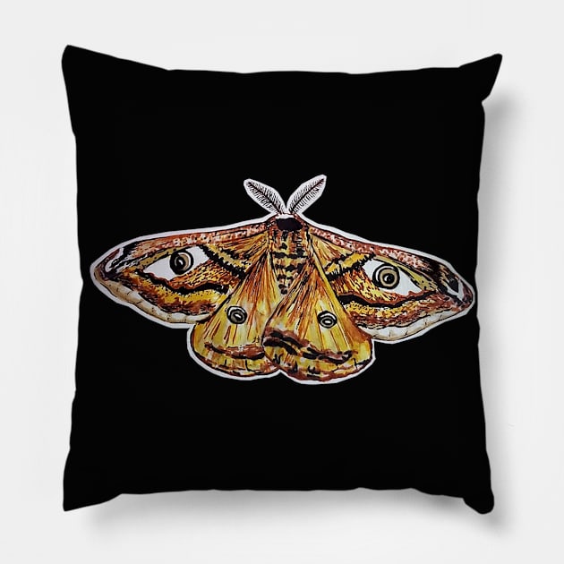 Moth Pillow by Sharayah