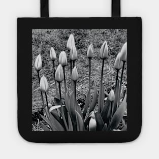 Tulips Tote